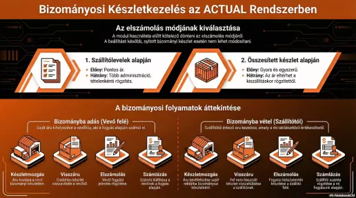 Bizományos infografika